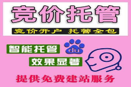 行业新秀如何通过sem竞价运营实现快速崛起